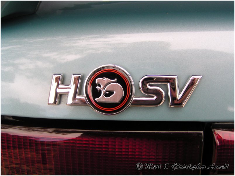 HSV Boot Badge